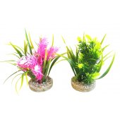 Аквариумно растение SYDECO BIO AQUA LINE 15см.